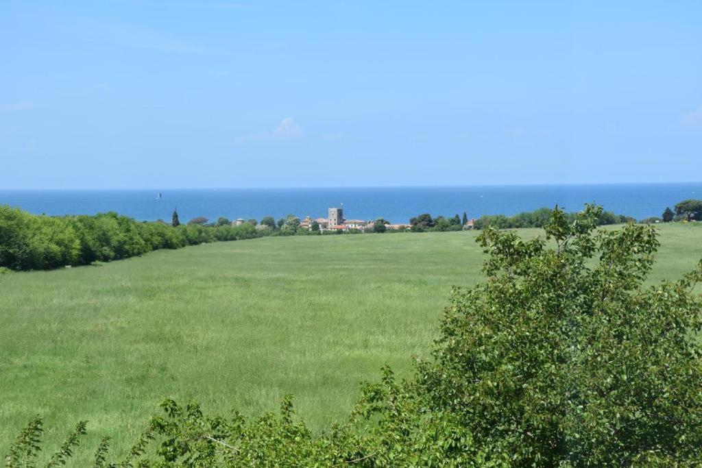 Apartmani Ritosa Novigrad Istria Exterior foto